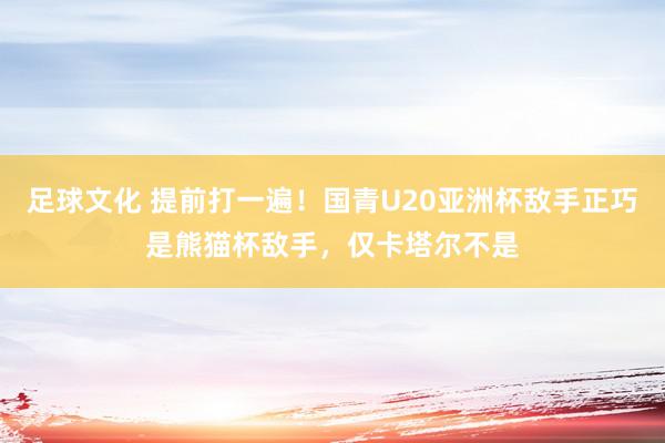 足球文化 提前打一遍！国青U20亚洲杯敌手正巧是熊猫杯敌手，仅卡塔尔不是