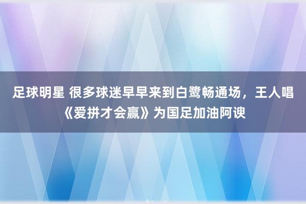 足球明星 很多球迷早早来到白鹭畅通场，王人唱《爱拼才会赢》为国足加油阿谀