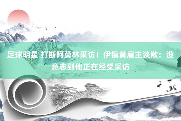 足球明星 打断阿莫林采访！伊镇黄雇主谈歉：没意志到他正在经受采访