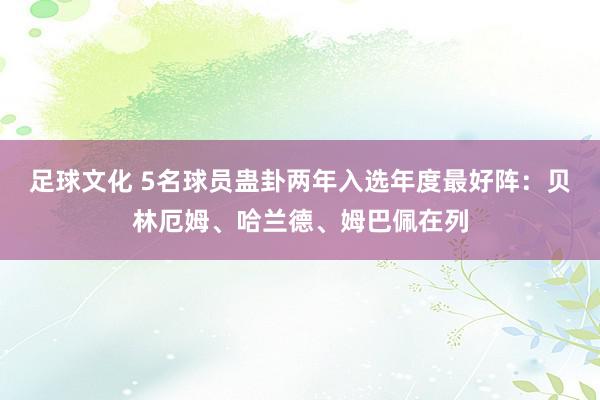 足球文化 5名球员蛊卦两年入选年度最好阵：贝林厄姆、哈兰德、姆巴佩在列