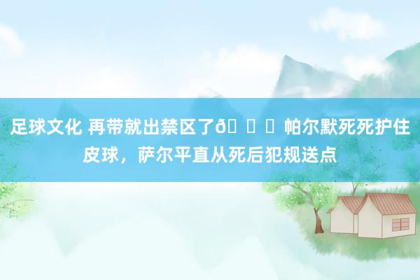 足球文化 再带就出禁区了😂帕尔默死死护住皮球，萨尔平直从死后犯规送点