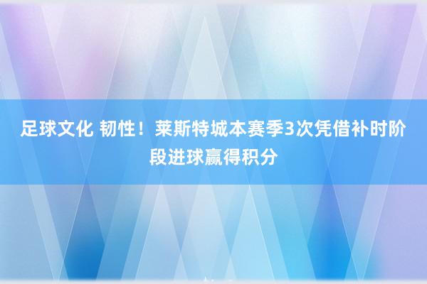 足球文化 韧性！莱斯特城本赛季3次凭借补时阶段进球赢得积分