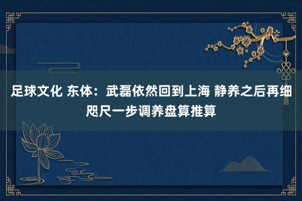 足球文化 东体：武磊依然回到上海 静养之后再细咫尺一步调养盘算推算