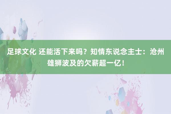 足球文化 还能活下来吗？知情东说念主士：沧州雄狮波及的欠薪超一亿！