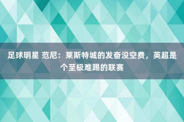 足球明星 范尼：莱斯特城的发奋没空费，英超是个至极难踢的联赛