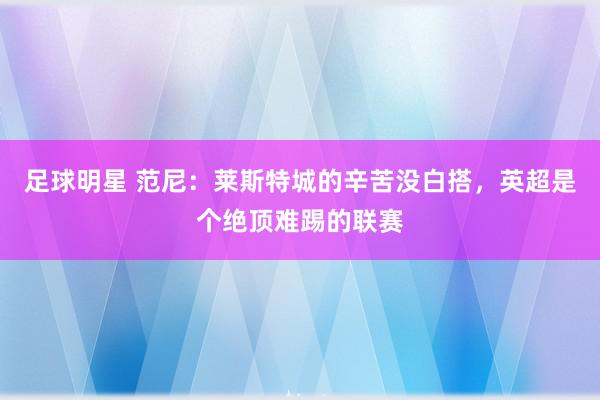 足球明星 范尼：莱斯特城的辛苦没白搭，英超是个绝顶难踢的联赛