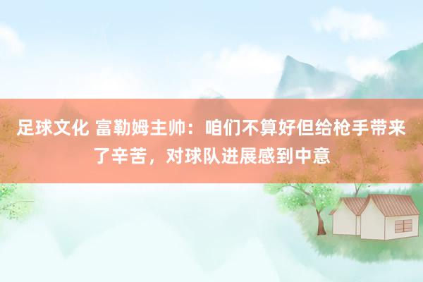 足球文化 富勒姆主帅：咱们不算好但给枪手带来了辛苦，对球队进展感到中意