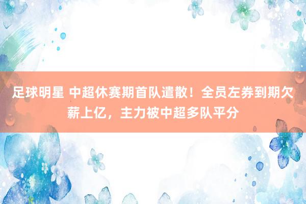 足球明星 中超休赛期首队遣散！全员左券到期欠薪上亿，主力被中超多队平分